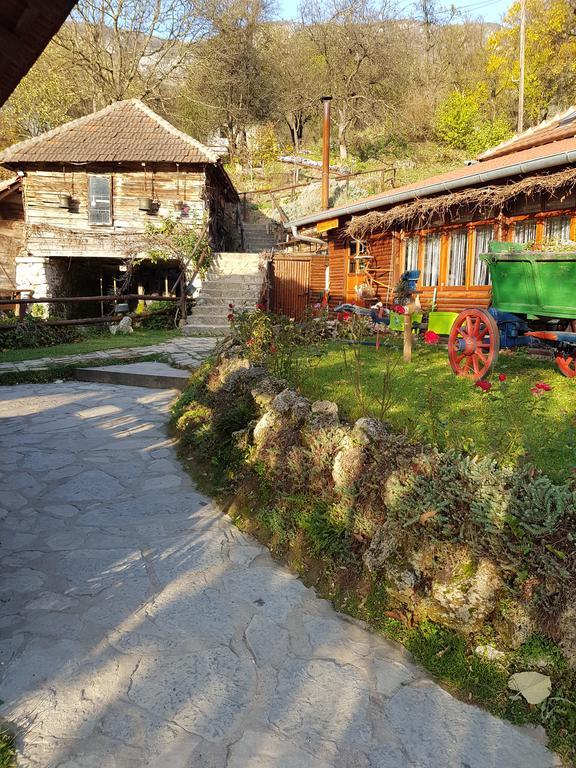 Guest House Lisinski Raj Despotovac Zewnętrze zdjęcie