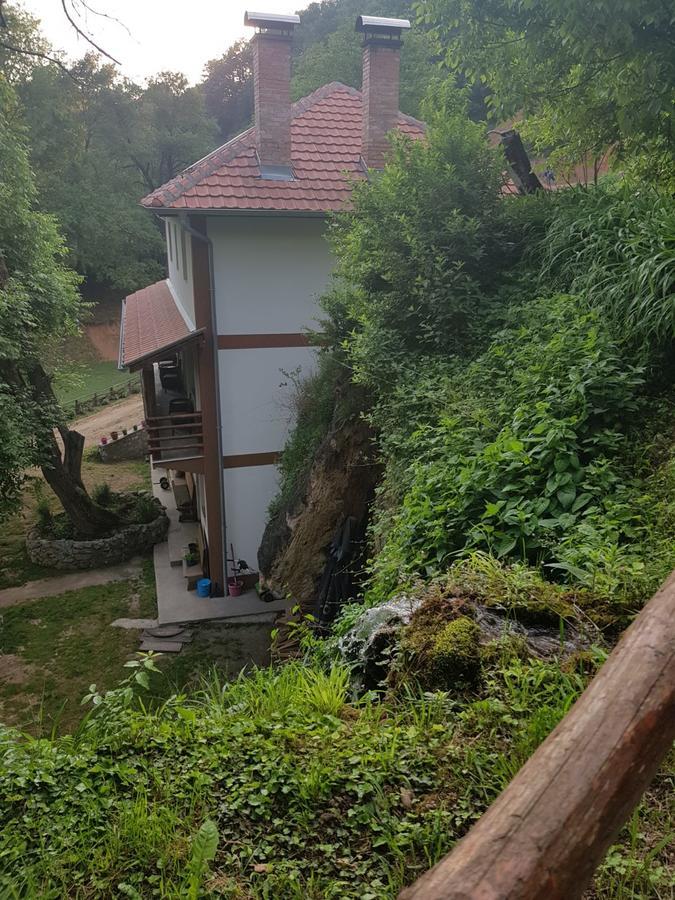 Guest House Lisinski Raj Despotovac Zewnętrze zdjęcie