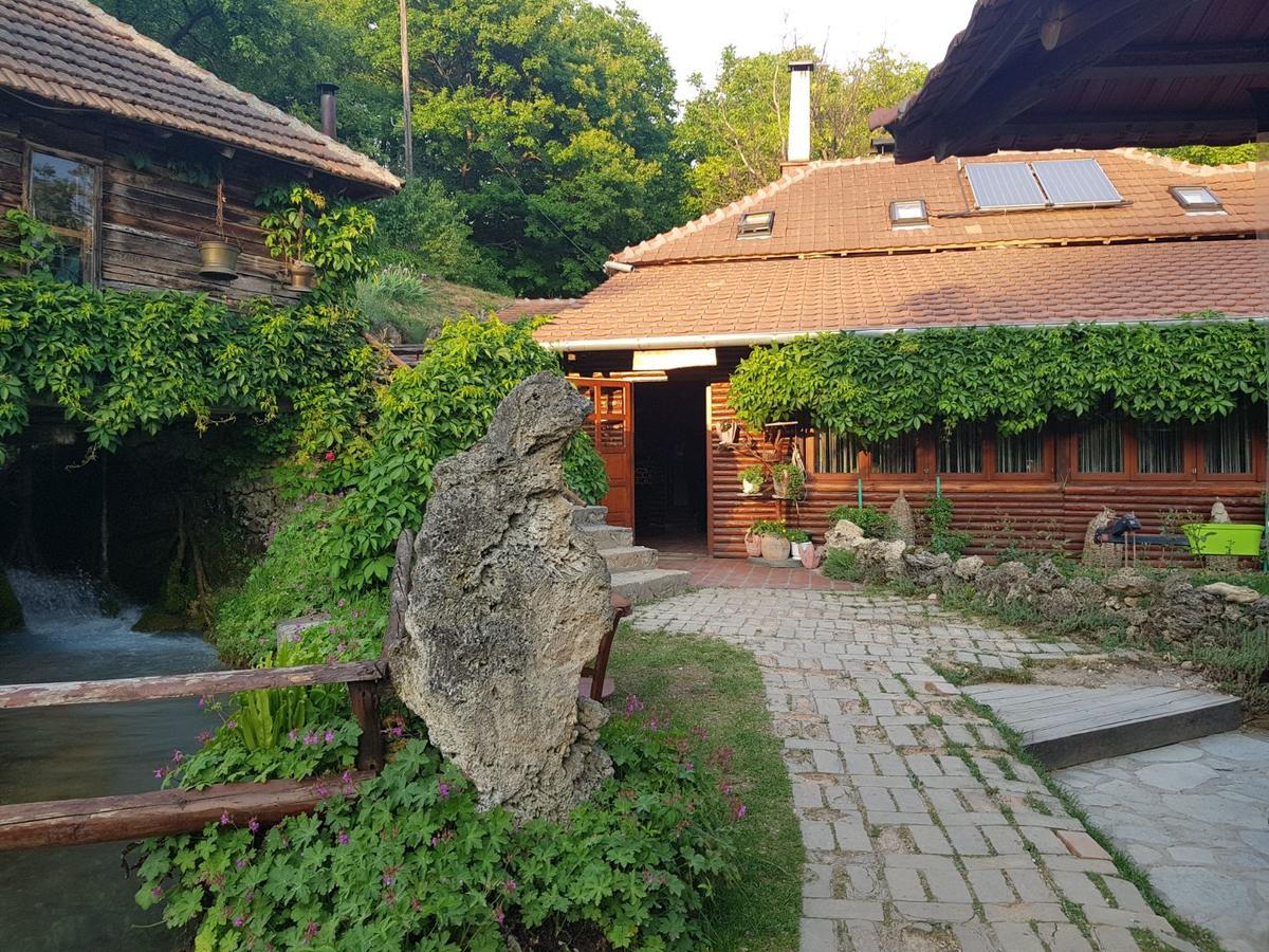 Guest House Lisinski Raj Despotovac Zewnętrze zdjęcie