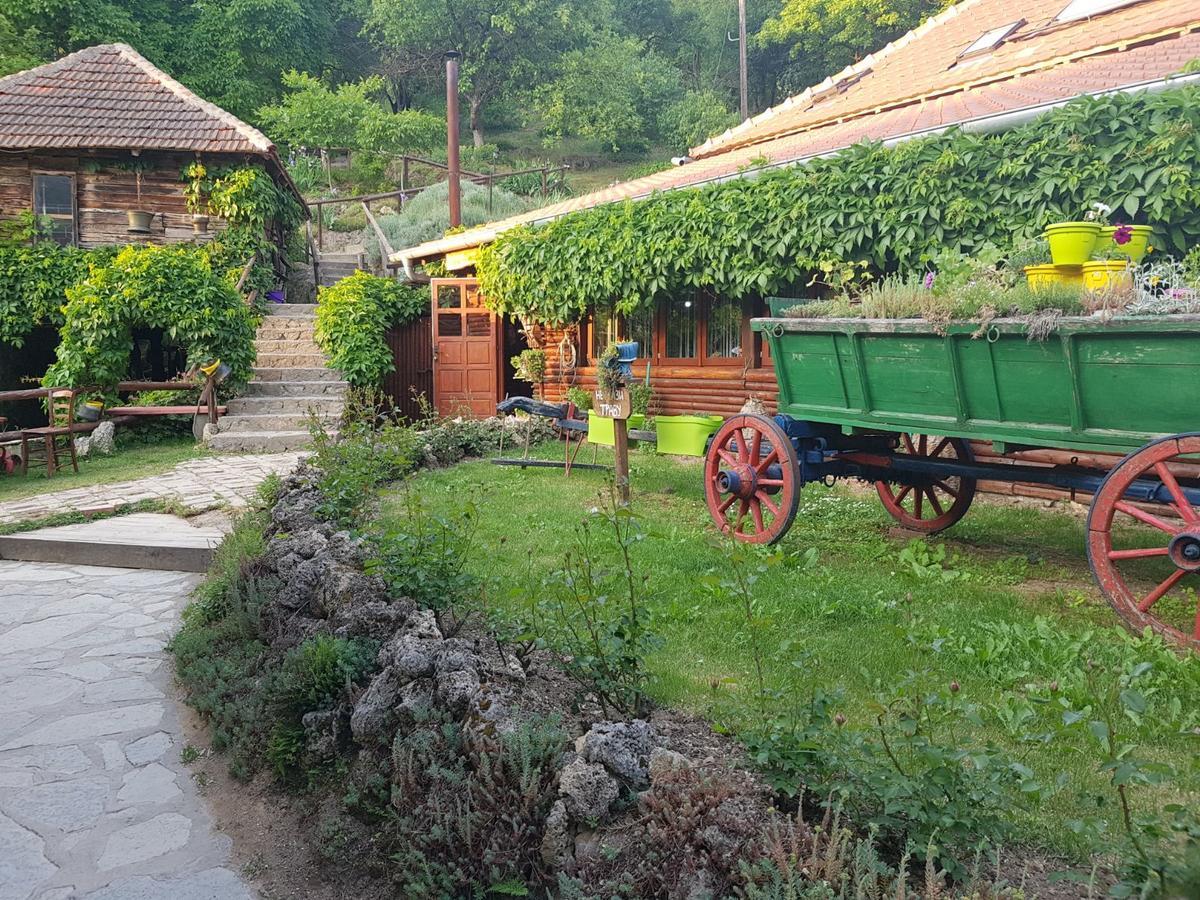 Guest House Lisinski Raj Despotovac Zewnętrze zdjęcie