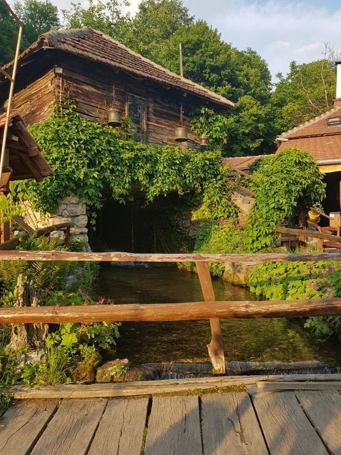 Guest House Lisinski Raj Despotovac Zewnętrze zdjęcie