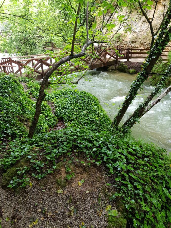Guest House Lisinski Raj Despotovac Zewnętrze zdjęcie